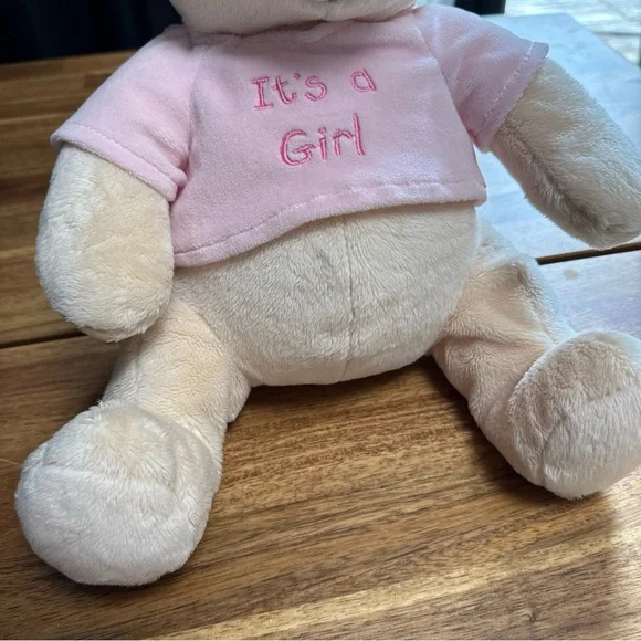 Disney RARE Winnie The Pooh Bear “It’s a Girl” Plush Stuffed Animal Pink Shirt - Picture 7 of 8